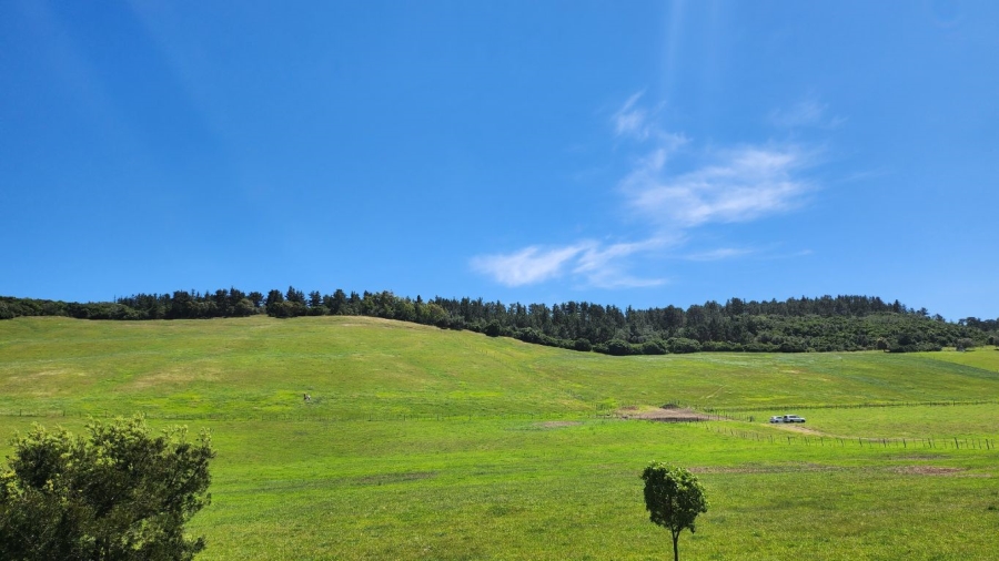 0 Bedroom Property for Sale in Agricultural Holding 318 Western Cape